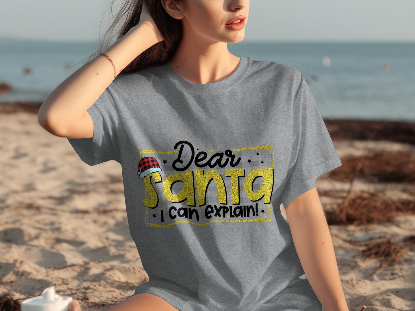 Dear Santa I Can Explain! Christmas T-Shirt