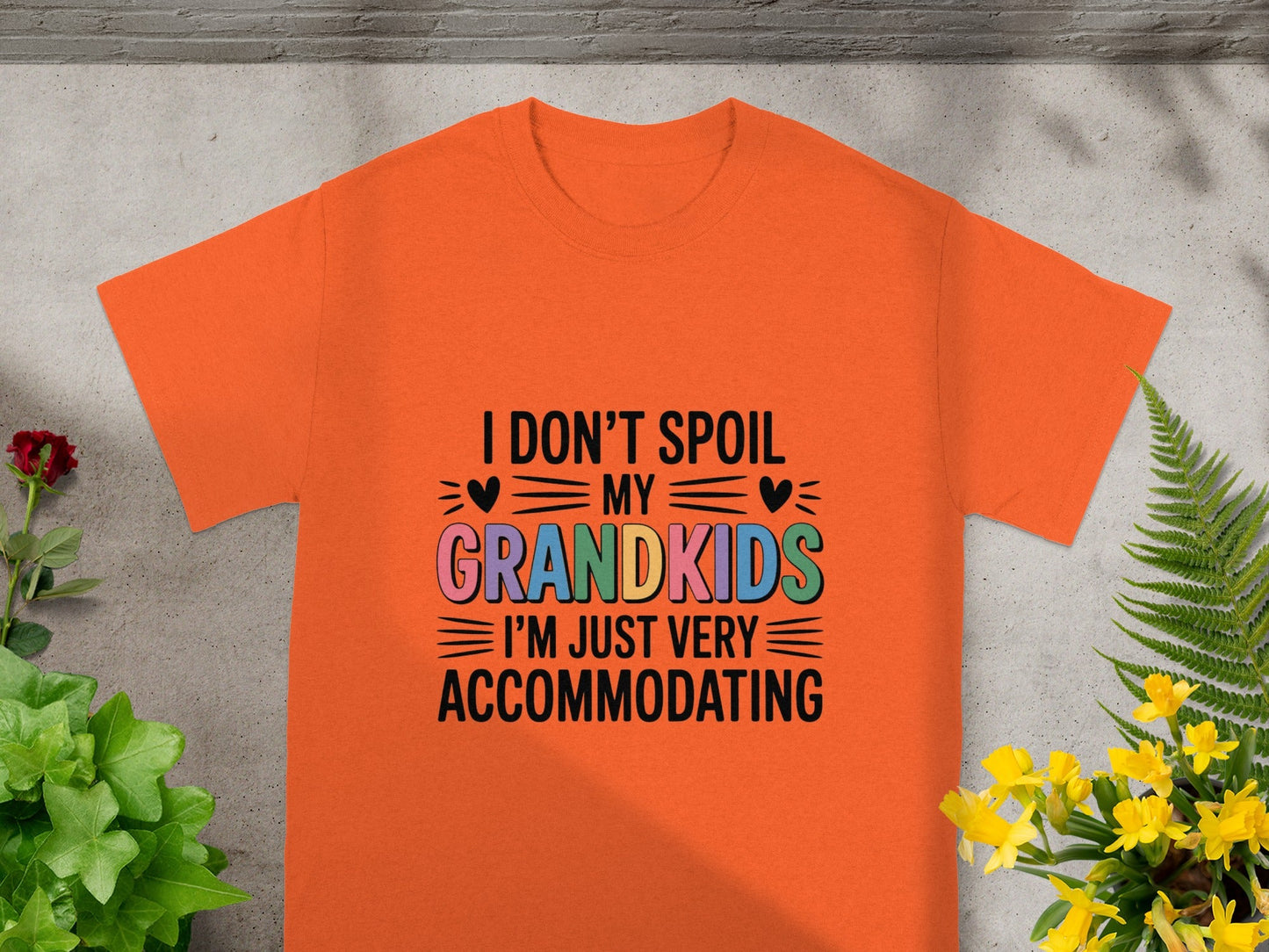 I Don't Spoil My Grandkids I'm Very Accommodating Shirt