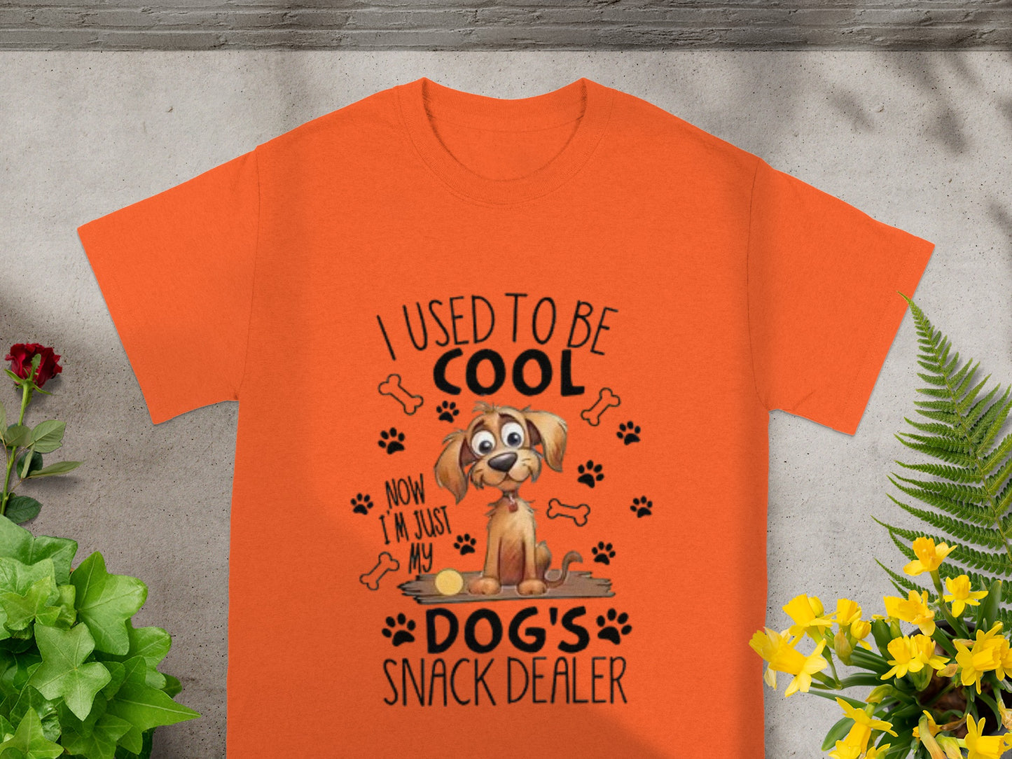 I Used to Be Cool Now I'm Just My Dog's Snack Dealer Shirt