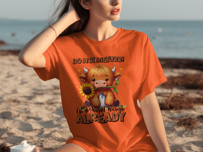 Do Not Disturb Funny Comfortable Oversized T-Shirt