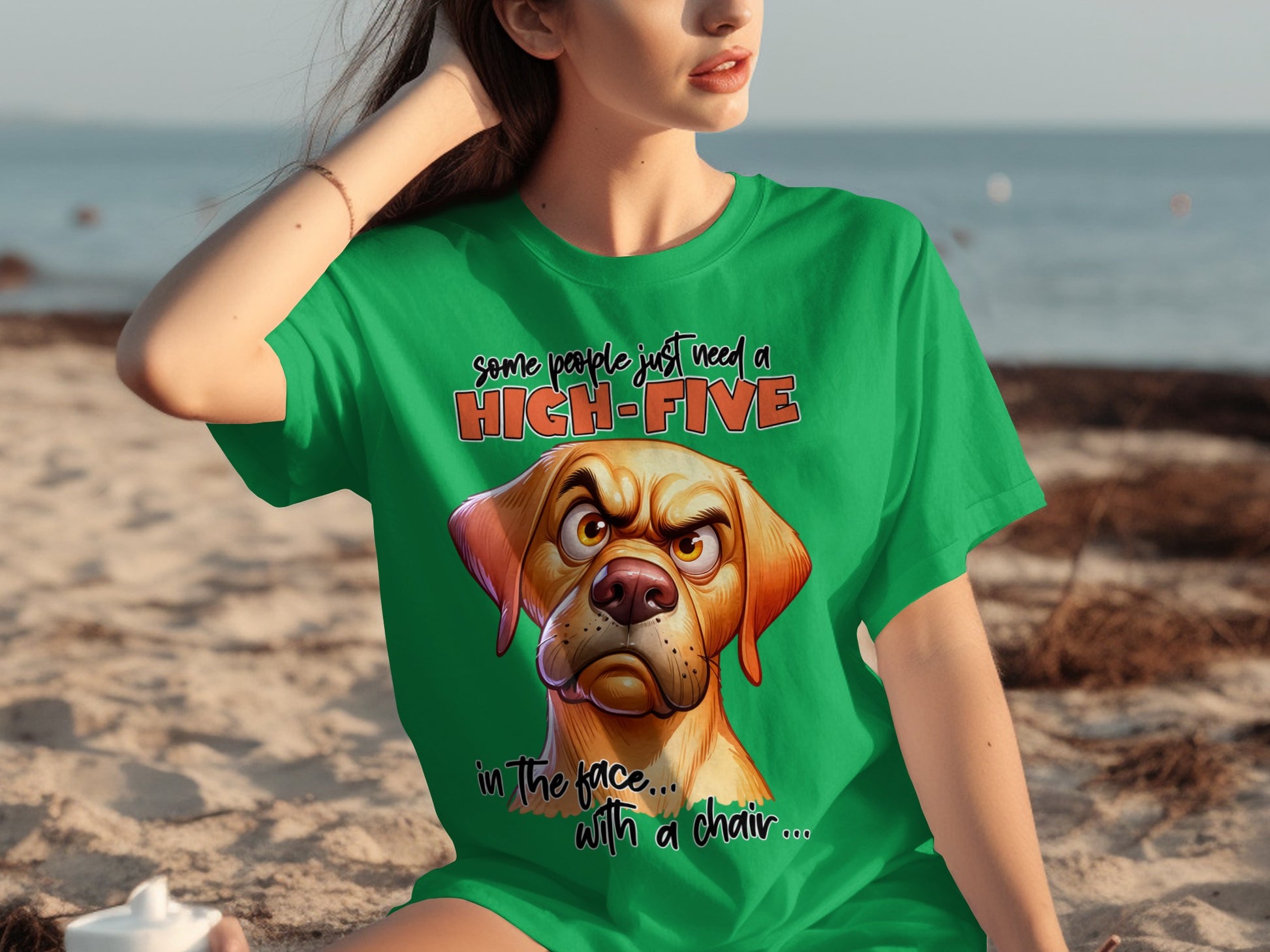 Some People Just Need a High-Five in the Face T-Shirt